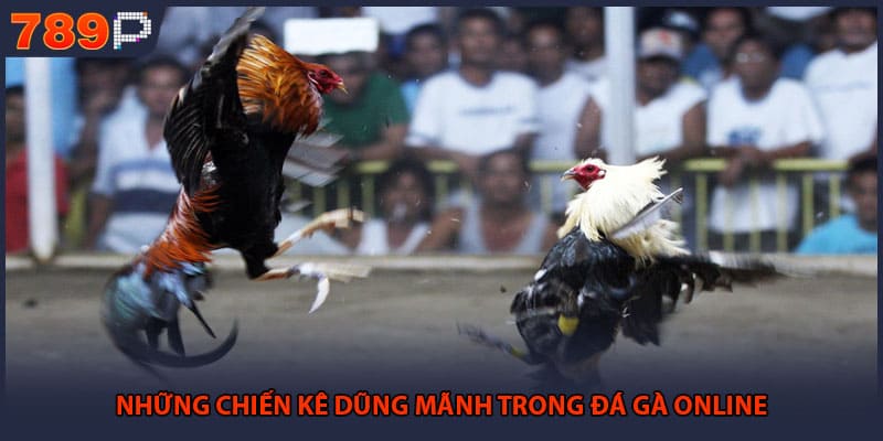Đá Gà Online Đỉnh Cao - Bí Quyết Chốt Kèo Thành Công 1 Những chiến kê dũng mãnh trong đá gà online